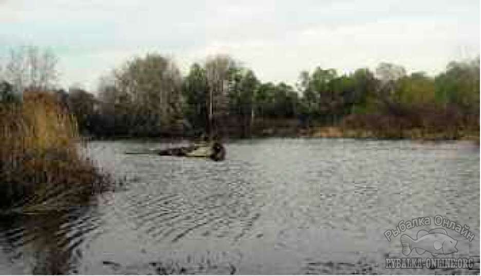 водоём