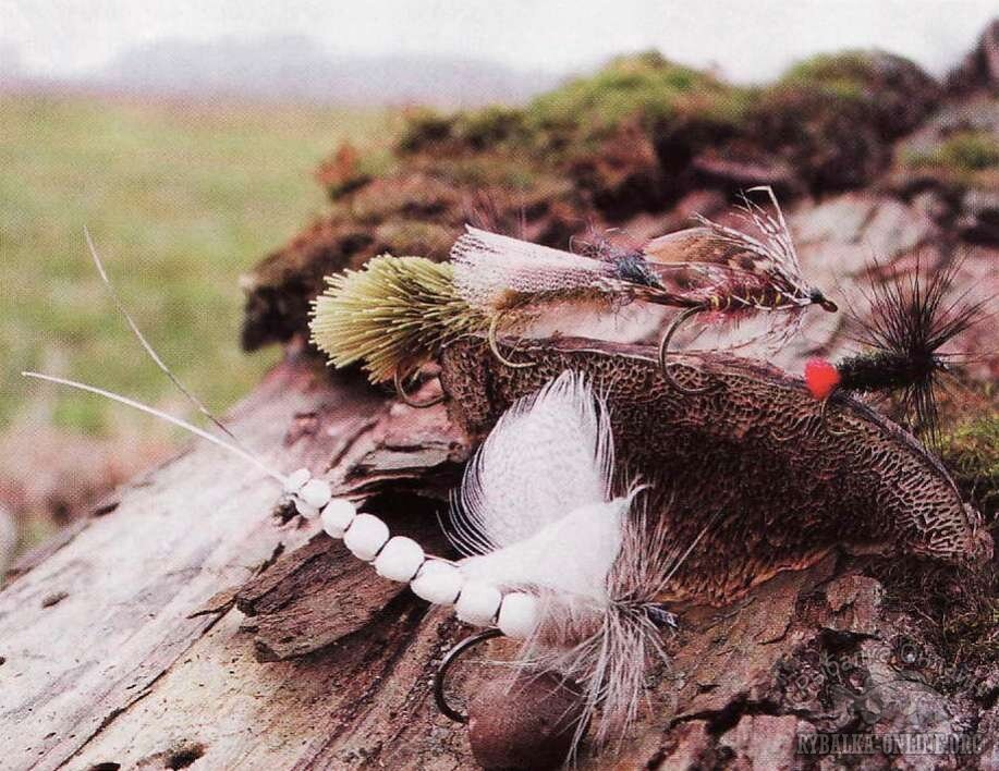 мушки