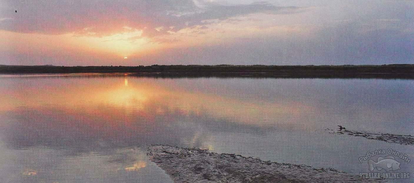 ловля сома на цимлянском водохранилище ловля сома на цимлянском водохранилище
