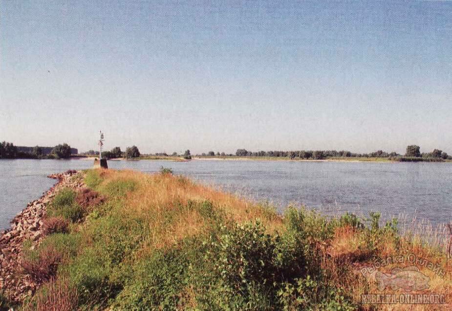на камнях