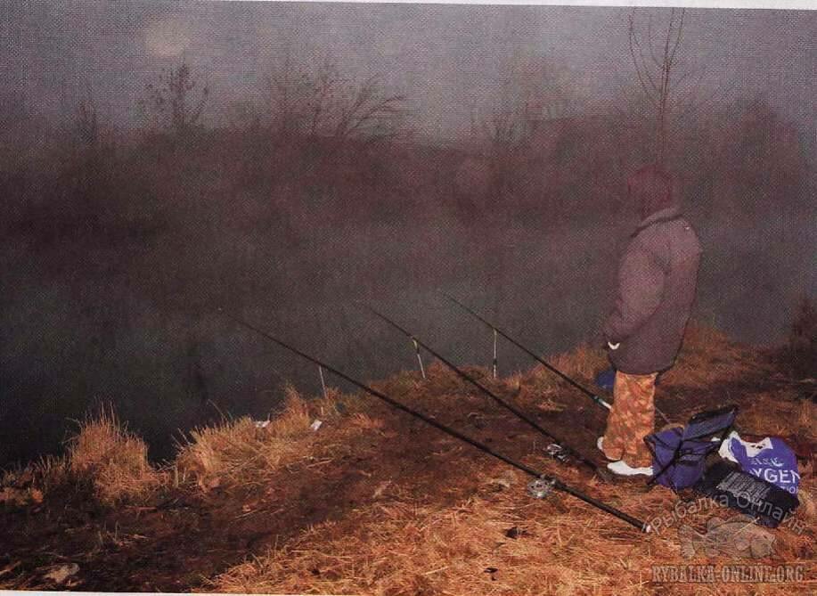 судак на донки