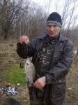  <b>Карась</b> 580гр., 31.03.13 