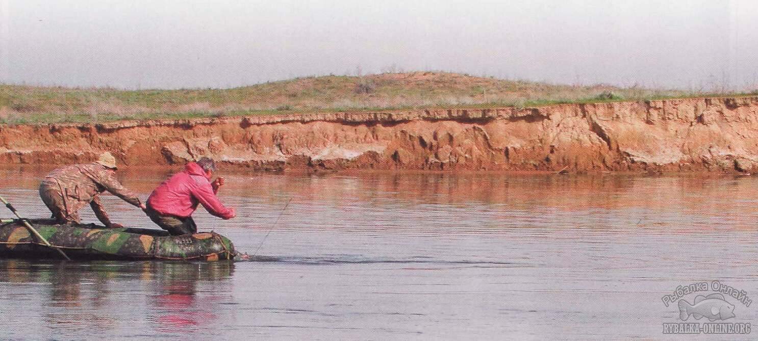 ловля сома с лодки спиннингом
