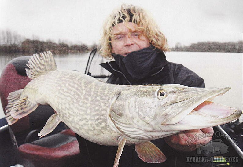 щука на дроп шот с живцом