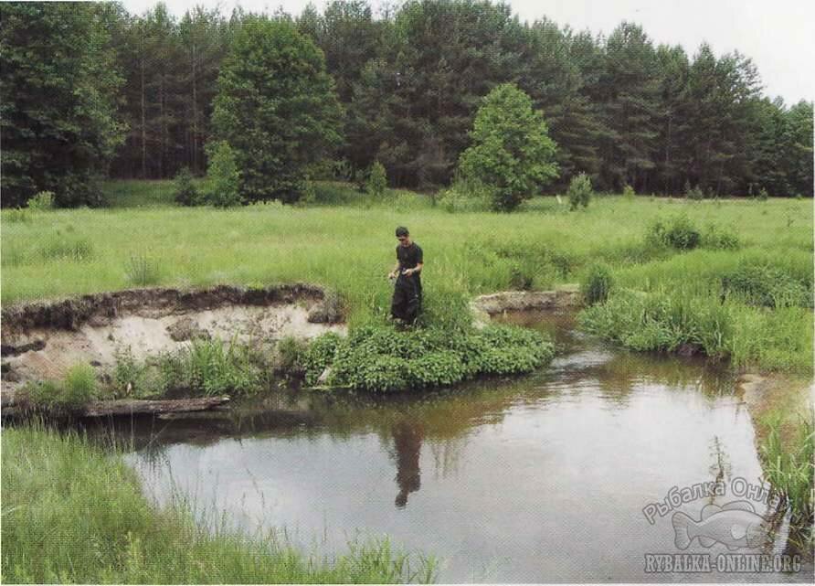 рыбалка на речке