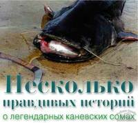 Несколько правдивых историй о сомах